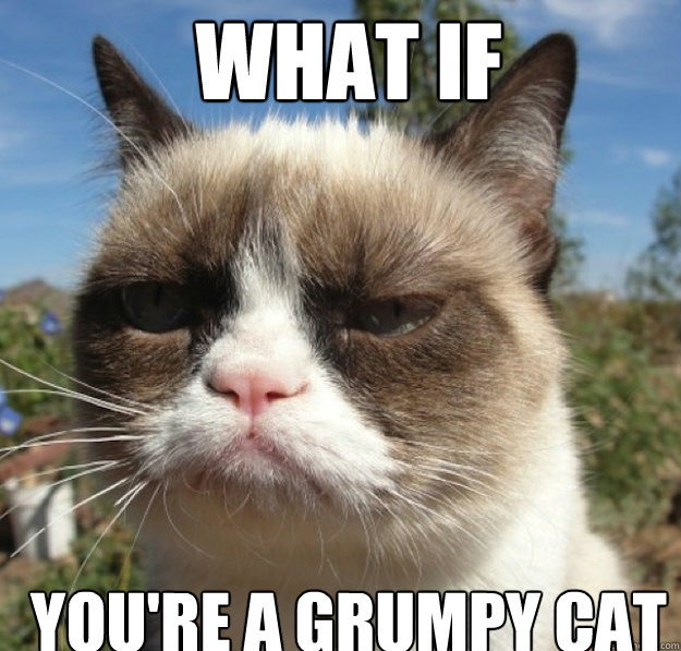 What if You're a grumpy cat - Misc - quickmeme