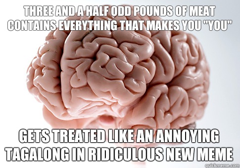 THREE AND A HALF ODD POUNDS OF MEAT CONTAINS EVERYTHING THAT MAKES YOU 