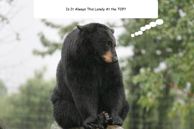 Essay on it is always lonely at the top picture