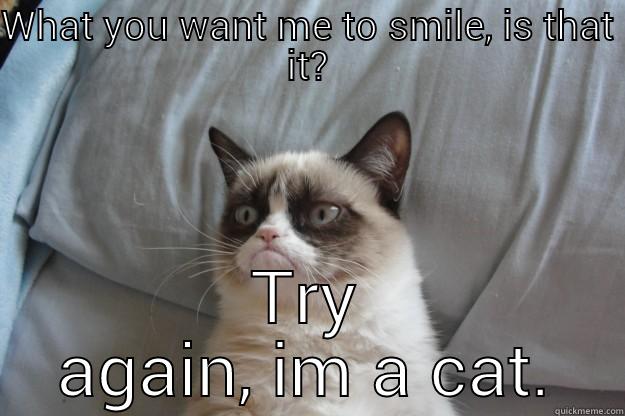 WHAT YOU WANT ME TO SMILE, IS THAT IT? TRY AGAIN, IM A CAT. Grumpy Cat