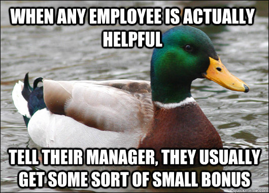When any employee is actually helpful tell their manager, they usually get some sort of small bonus  Actual Advice Mallard