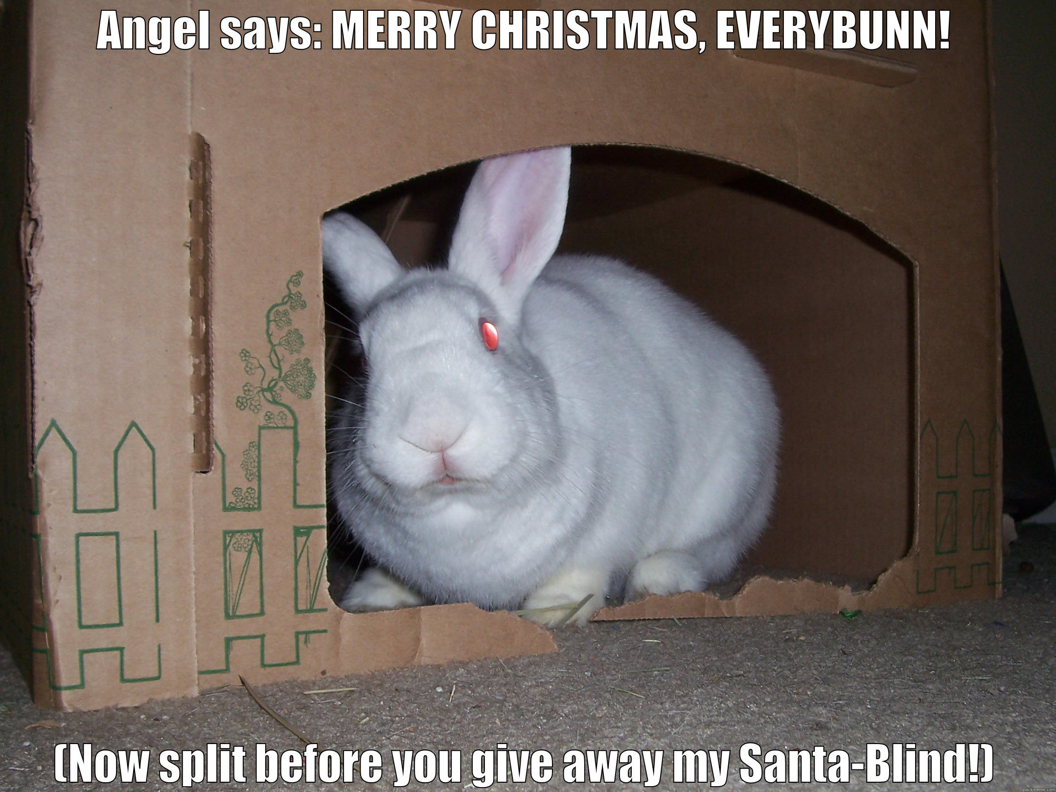 ANGEL SAYS: MERRY CHRISTMAS, EVERYBUNN! (NOW SPLIT BEFORE YOU GIVE AWAY MY SANTA-BLIND!) Misc