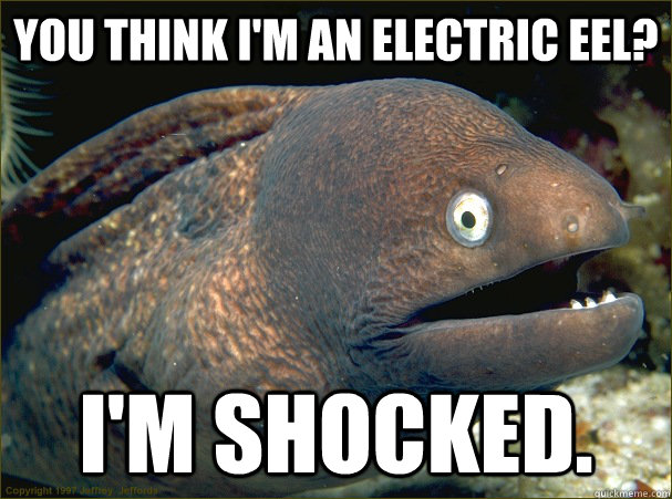 You think I'm an electric eel? I'm shocked.  Bad Joke Eel