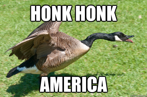 HONK HONK AMERICA  Angry Goose