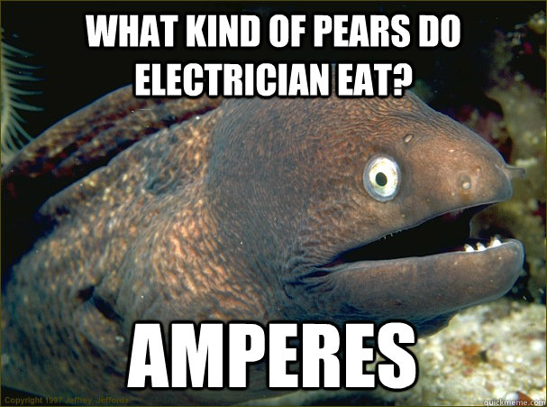 What kind of pears do electrician eat? Amperes  Bad Joke Eel