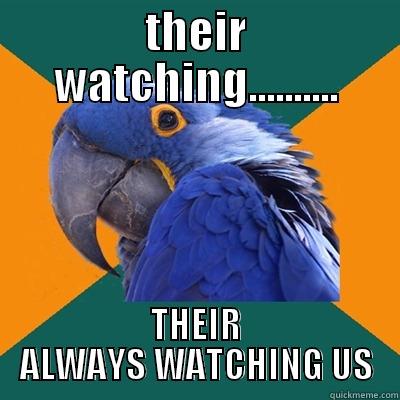 THEIR WATCHING.......... THEIR ALWAYS WATCHING US Paranoid Parrot
