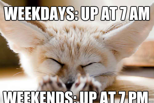 weekdays: up at 7 am weekends: up at 7 pm  