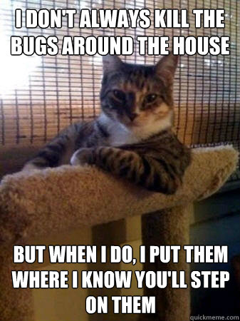 I don't always kill the bugs around the house but when i do, i put them where i know you'll step on them  The Most Interesting Cat in the World