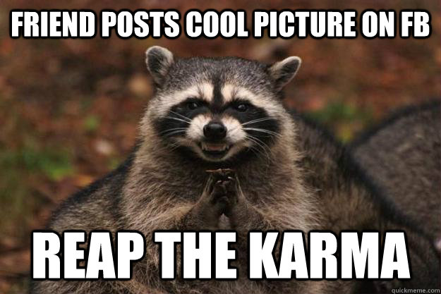 Friend posts cool picture on fb Reap the karma  Evil Plotting Raccoon