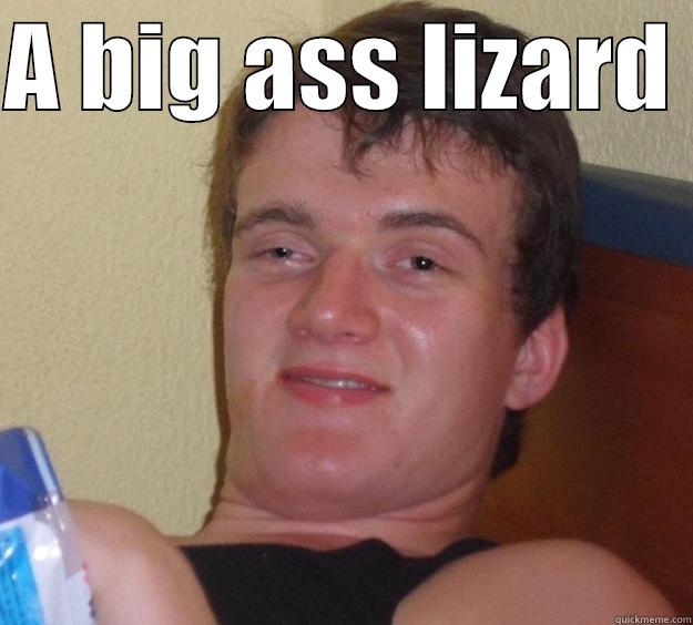 A BIG ASS LIZARD   10 Guy