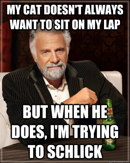 my CAT DOESN'T ALWAYS WANT TO SIT ON MY LAP BUT WHEN HE DOES, I'M TRYING TO SCHLICK  The Most Interesting Man In The World