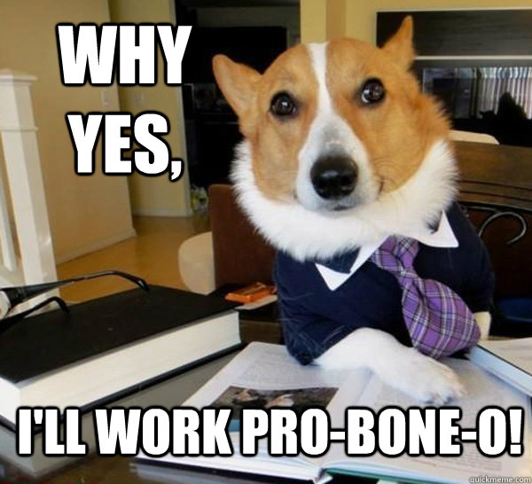 Why yes, I'll work pro-bone-o!  Lawyer Dog