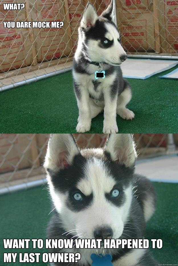 What?

You dare mock me? Want to know what happened to my last owner?  Insanity puppy