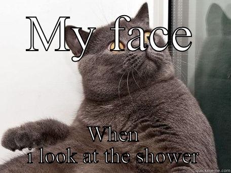 MY FACE WHEN I LOOK AT THE SHOWER conspiracy cat