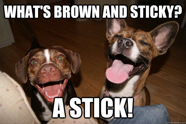 What's brown and sticky? A stick!  Clean Joke Puppies