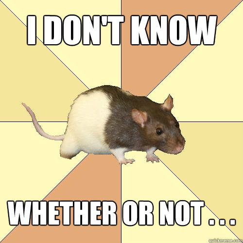 I don't know whether or not . . .  Redundant Rat