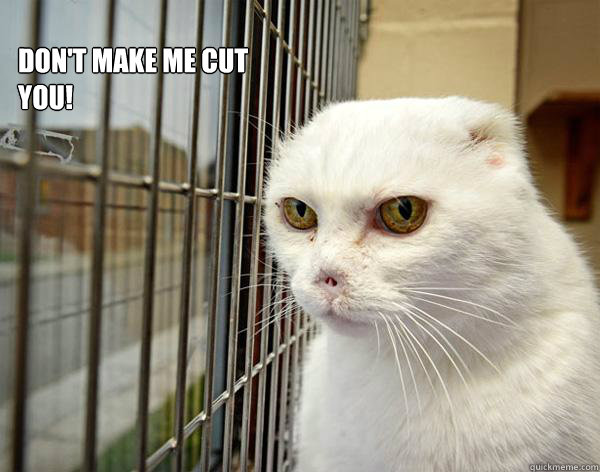 Don't make me cut you!  Jail Cat
