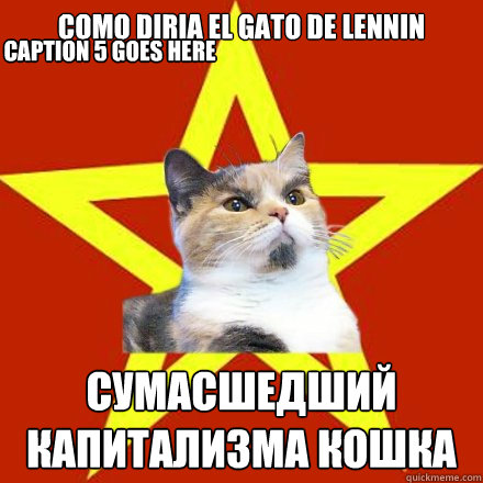 Como diria el gato de lennin сумасшедший капитализма кошка Caption 3 goes here Caption 4 goes  Lenin Cat