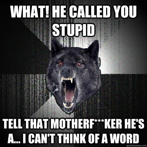 What! he called you stupid tell that motherf***ker he's a... I can't think of a word  Insanity Wolf