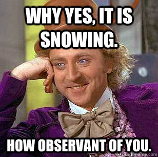 Why yes, it is snowing. How observant of you.  Condescending Wonka