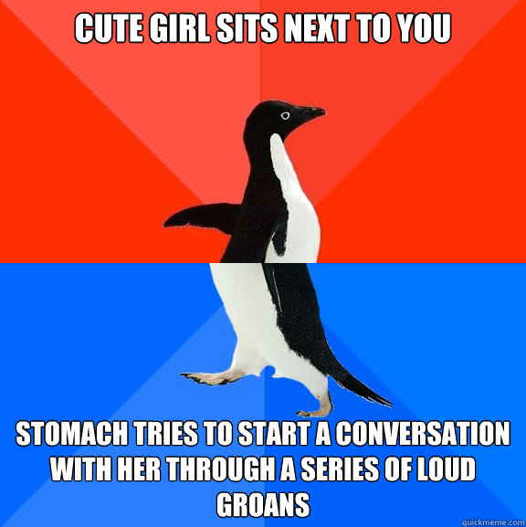 cute girl sits next to you stomach tries to start a conversation with her through a series of loud groans  Socially Awesome Awkward Penguin