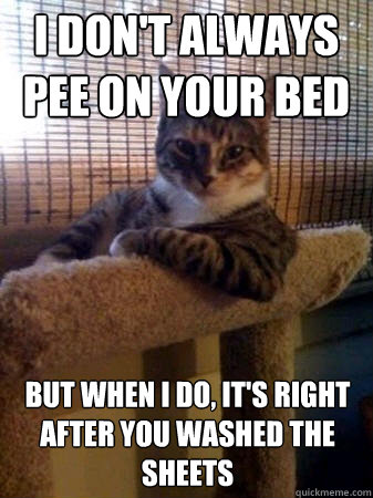 I don't always pee on your bed but when I do, it's right after you washed the sheets  The Most Interesting Cat in the World