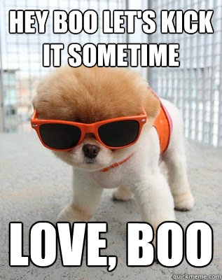 HEY BOO LET's kick it sometime  love, boo  Boo the worlds cutest dog