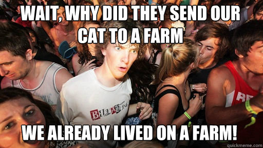 Wait, why did they send our cat to a farm
 we already lived on a farm!  Sudden Clarity Clarence