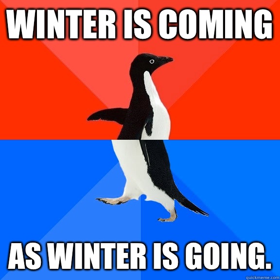 Winter is coming As winter is going.  Socially Awesome Awkward Penguin