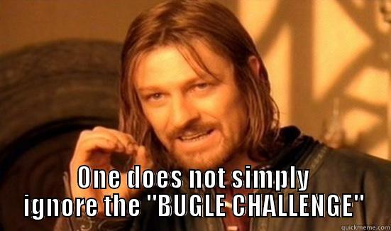  ONE DOES NOT SIMPLY IGNORE THE 