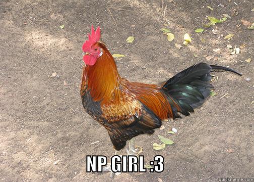 np girl -                             NP GIRL :3                         Misc