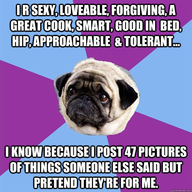 I r sexy, loveable, forgiving, a great cook, smart, good in  bed, hip, approachable  & tolerant... I know because i post 47 pictures of things someone else said but pretend they're for me.  Lonely Pug