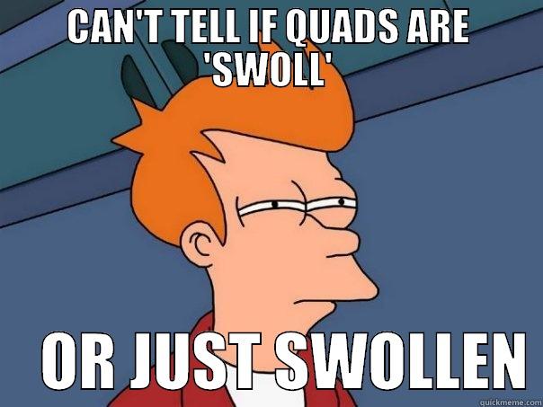 CAN'T TELL IF QUADS ARE 'SWOLL'     OR JUST SWOLLEN Futurama Fry