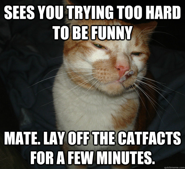Sees you trying too hard to be funny Mate. Lay off the CatFacts for a few minutes.  Cool Cat Craig