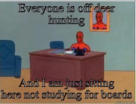 EVERYONE IS OFF DEER HUNTING AND I AM JUST SITTING HERE NOT STUDYING FOR BOARDS Spiderman Desk