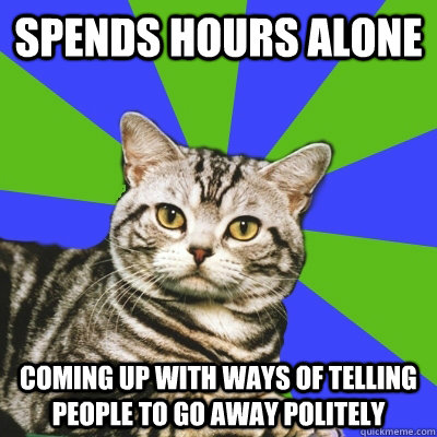 spends hours alone  coming up with ways of telling people to go away politely - spends hours alone  coming up with ways of telling people to go away politely  Introvert Cat