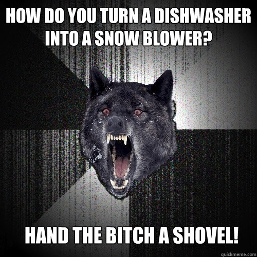 How do you turn a dishwasher into a snow blower?  Hand the Bitch a shovel!   Insanity Wolf