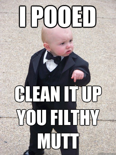 i pooed clean it up you filthy mutt  Baby Godfather
