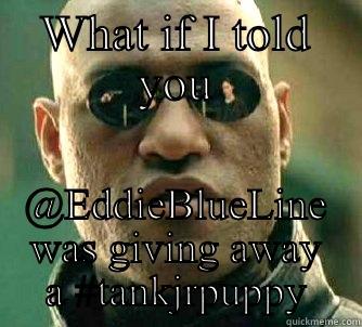 WHAT IF I TOLD YOU @EDDIEBLUELINE WAS GIVING AWAY A #TANKJRPUPPY Matrix Morpheus