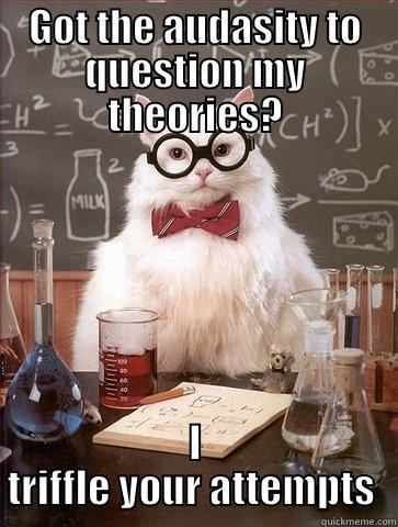 GOT THE AUDASITY TO QUESTION MY THEORIES? I TRIFFLE YOUR ATTEMPTS  Chemistry Cat