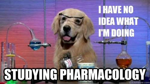  Studying pharmacology -  Studying pharmacology  I have no idea dog