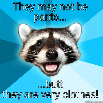 THEY MAY NOT BE PANTS... ...BUTT THEY ARE VERY CLOTHES! Lame Pun Coon