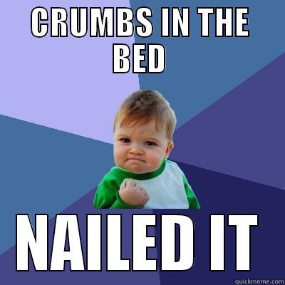 CRUMBS IN THE BED NAILED IT Success Kid
