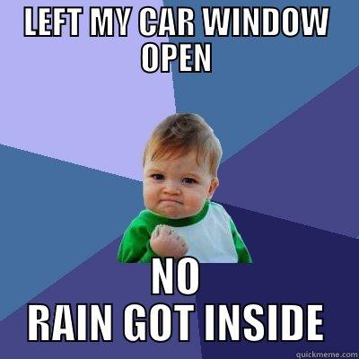 LEFT MY CAR WINDOW OPEN NO RAIN GOT INSIDE Success Kid