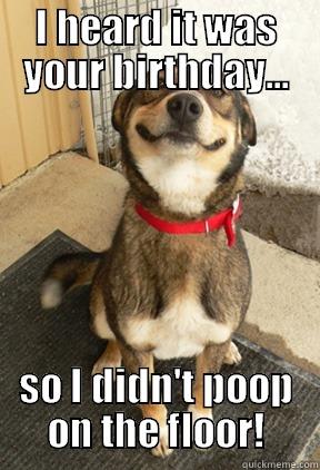I HEARD IT WAS YOUR BIRTHDAY... SO I DIDN'T POOP ON THE FLOOR! Good Dog Greg