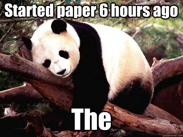Started paper 6 hours ago The   Procrastination Panda