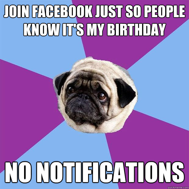 Join Facebook just so people know it's my Birthday No notifications  Lonely Pug
