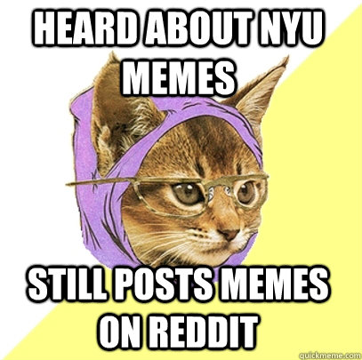 Heard about NYU Memes Still posts memes on reddit  Hipster Kitty