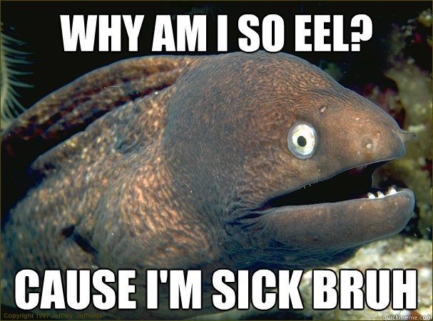 Why am I so eel? Cause I'm sick bruh - Why am I so eel? Cause I'm sick bruh  Bad Joke Eel