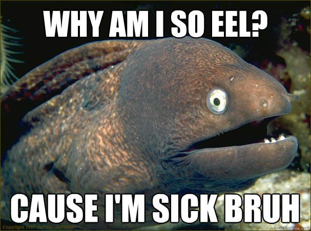 Why am I so eel? Cause I'm sick bruh  Bad Joke Eel